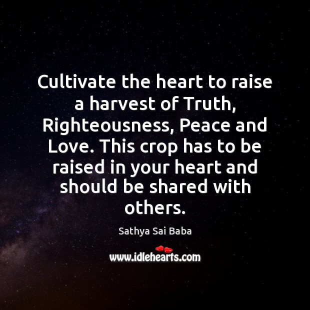 Cultivate the heart to raise a harvest of Truth, Righteousness, Peace and Sathya Sai Baba Picture Quote
