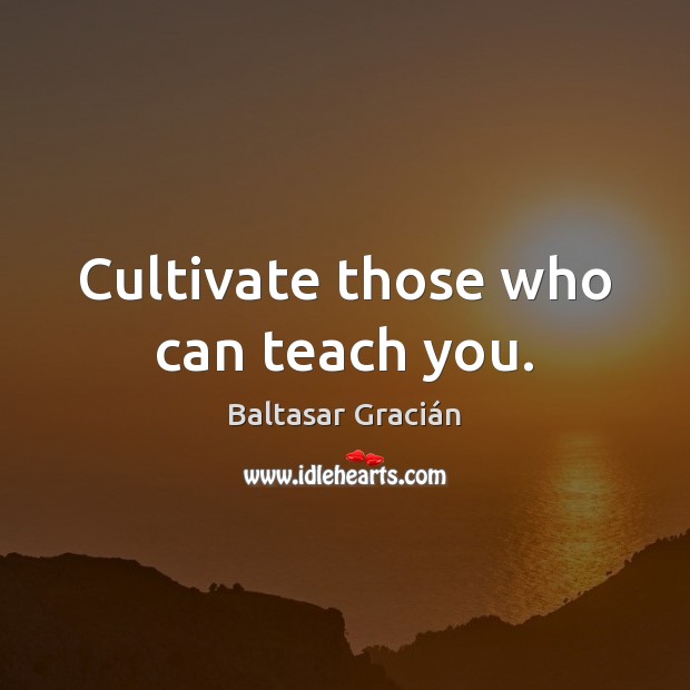 Cultivate those who can teach you. Baltasar Gracián Picture Quote