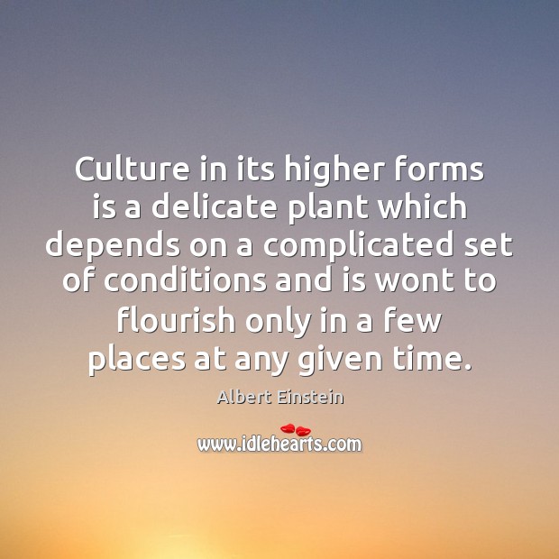 Culture in its higher forms is a delicate plant which depends on 