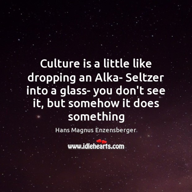 Culture is a little like dropping an Alka- Seltzer into a glass- Hans Magnus Enzensberger Picture Quote
