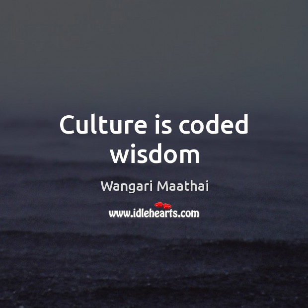 Culture is coded wisdom Image