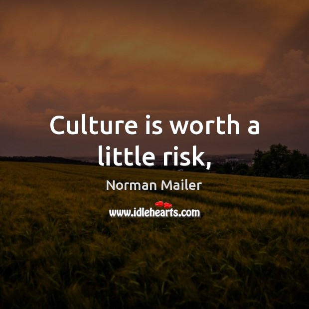 Culture is worth a little risk, Norman Mailer Picture Quote