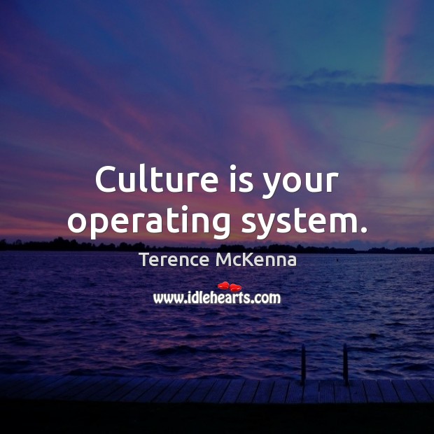 Culture is your operating system. Terence McKenna Picture Quote