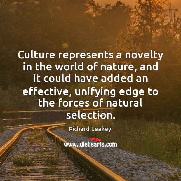 Culture represents a novelty in the world of nature, and it could Richard Leakey Picture Quote