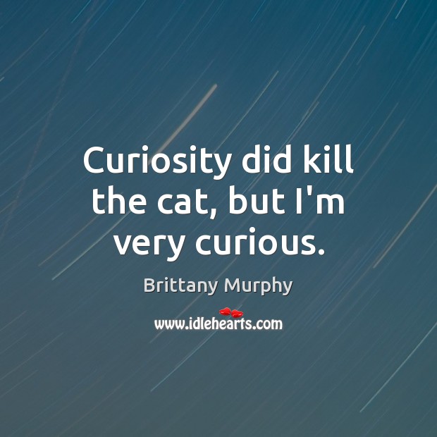 Curiosity did kill the cat, but I’m very curious. Brittany Murphy Picture Quote