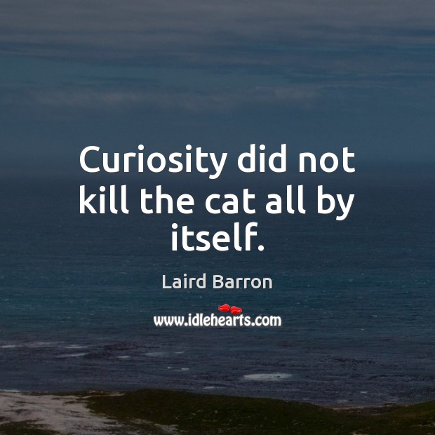 Curiosity did not kill the cat all by itself. Image