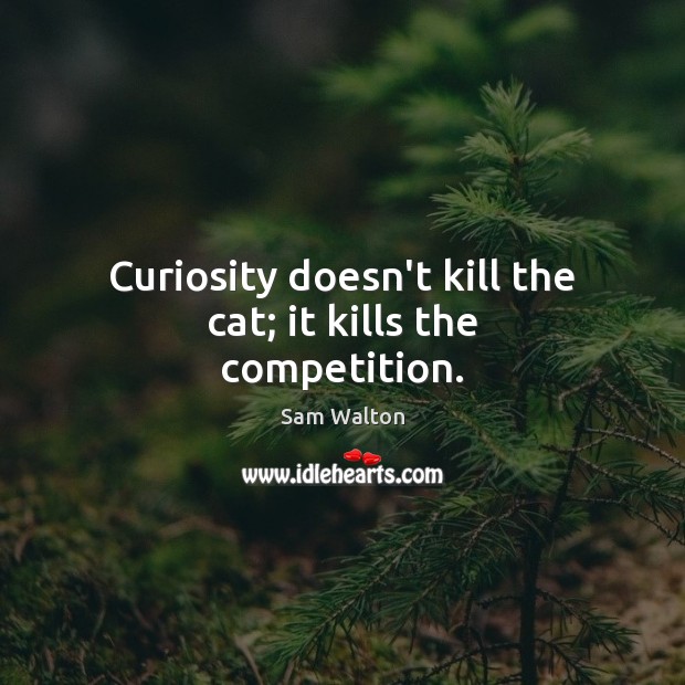 Curiosity doesn’t kill the cat; it kills the competition. Image