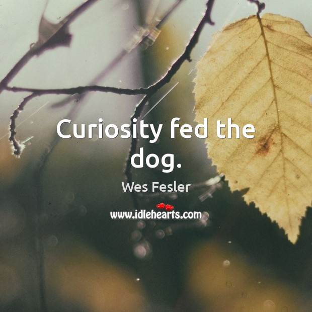 Curiosity fed the dog. Wes Fesler Picture Quote