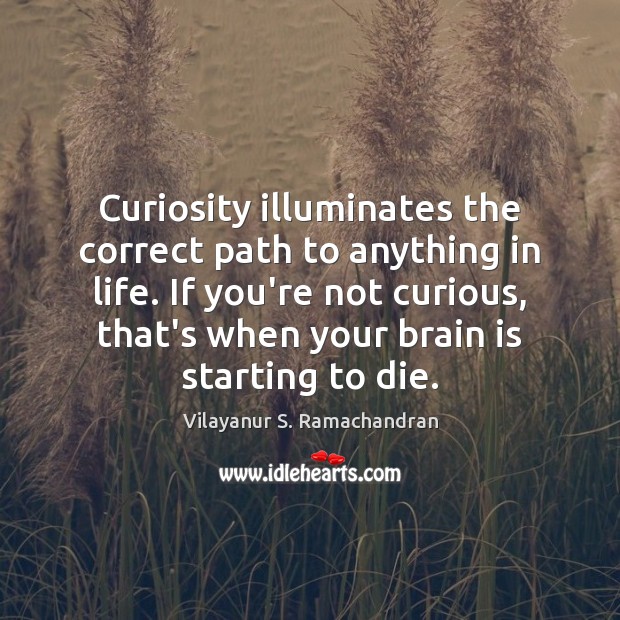 Curiosity illuminates the correct path to anything in life. If you’re not Vilayanur S. Ramachandran Picture Quote