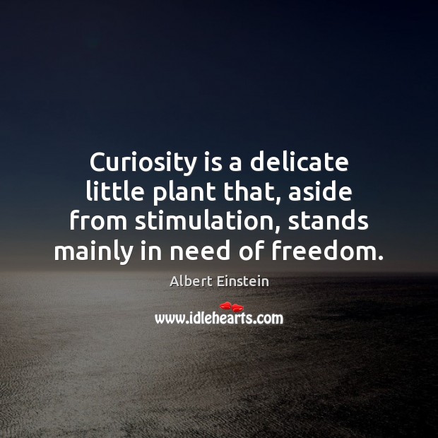 Curiosity is a delicate little plant that, aside from stimulation, stands mainly Image