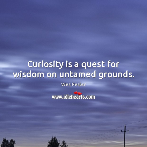 Curiosity is a quest for wisdom on untamed grounds. Wes Fesler Picture Quote