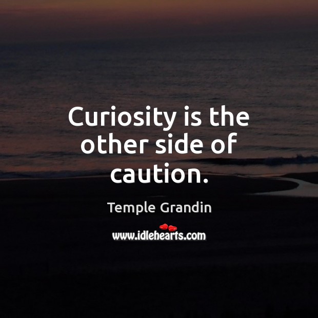 Curiosity is the other side of caution. Temple Grandin Picture Quote