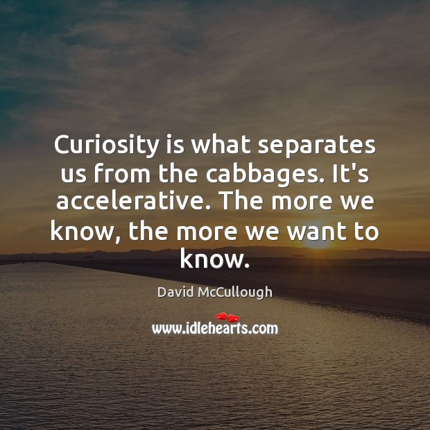 Curiosity is what separates us from the cabbages. It’s accelerative. The more David McCullough Picture Quote