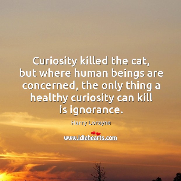 Curiosity killed the cat, but where human beings are concerned, the only thing a healthy curiosity can kill is ignorance. Harry Lorayne Picture Quote