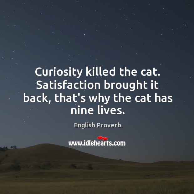 Curiosity killed the cat. Satisfaction brought it back, that’s English Proverbs Image