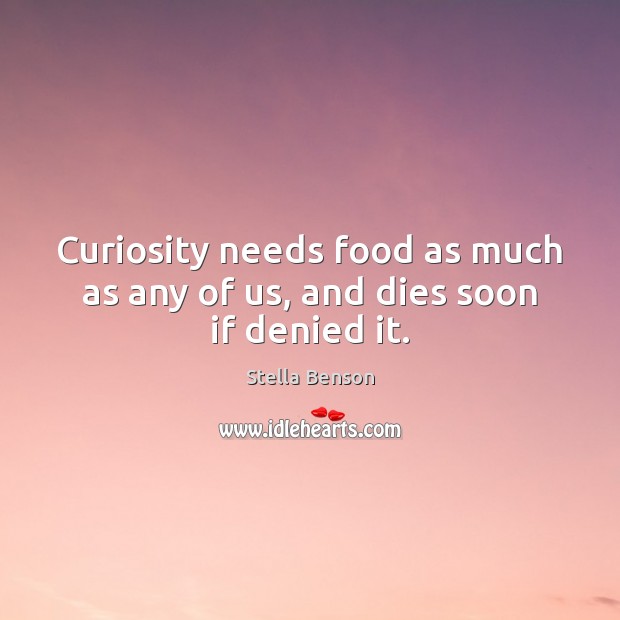 Curiosity needs food as much as any of us, and dies soon if denied it. Stella Benson Picture Quote
