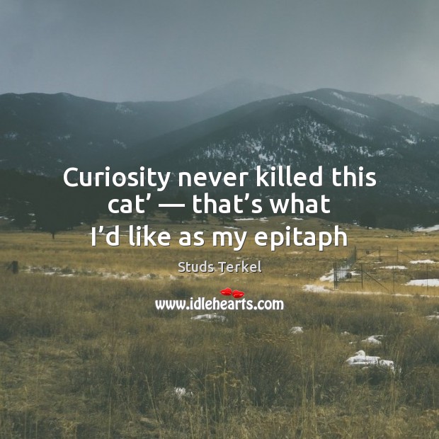 Curiosity never killed this cat’ — that’s what I’d like as my epitaph Studs Terkel Picture Quote