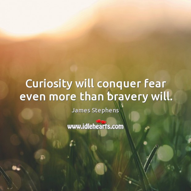 Curiosity will conquer fear even more than bravery will. Image