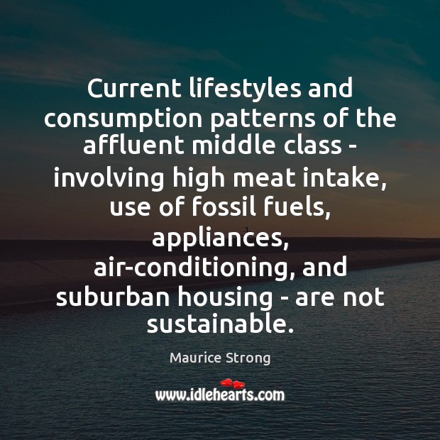 Current lifestyles and consumption patterns of the affluent middle class – involving Maurice Strong Picture Quote