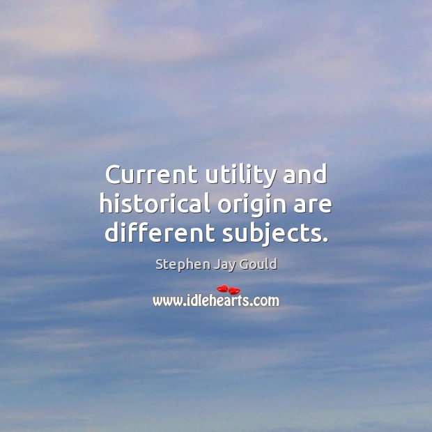 Current utility and historical origin are different subjects. Stephen Jay Gould Picture Quote