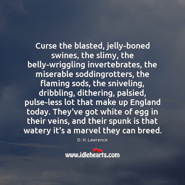 Curse the blasted, jelly-boned swines, the slimy, the belly-wriggling invertebrates, the miserable D. H. Lawrence Picture Quote