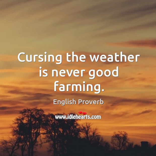 Cursing the weather is never good farming. English Proverbs Image