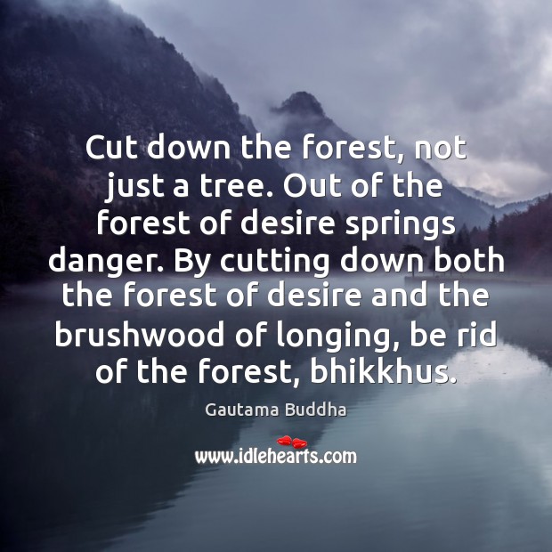 Cut down the forest, not just a tree. Out of the forest Image