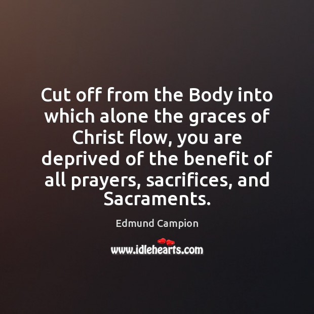 Cut off from the Body into which alone the graces of Christ Edmund Campion Picture Quote
