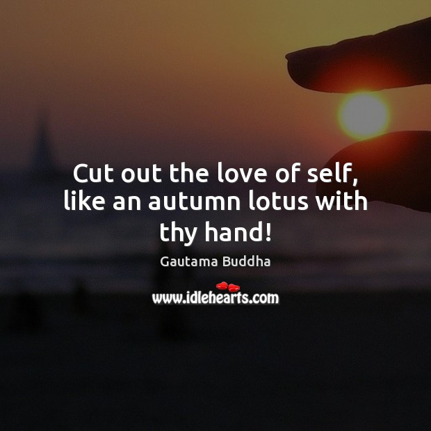 Cut out the love of self, like an autumn lotus with thy hand! Gautama Buddha Picture Quote