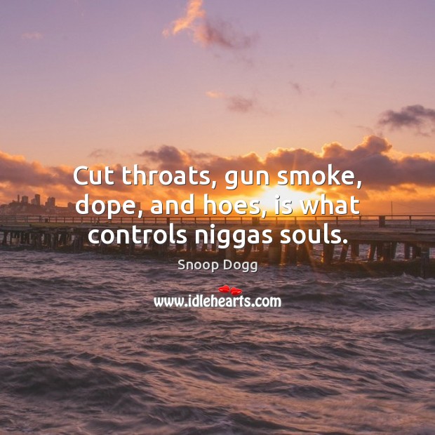 Cut throats, gun smoke, dope, and hoes, is what controls niggas souls. Snoop Dogg Picture Quote