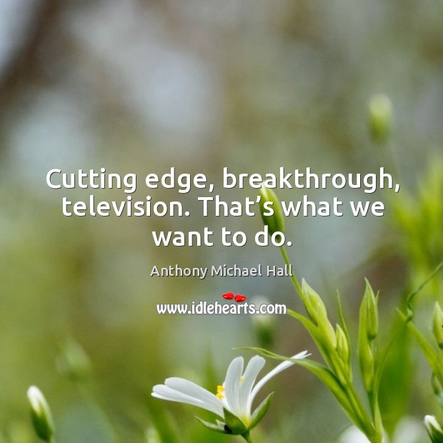 Cutting edge, breakthrough, television. That’s what we want to do. Anthony Michael Hall Picture Quote