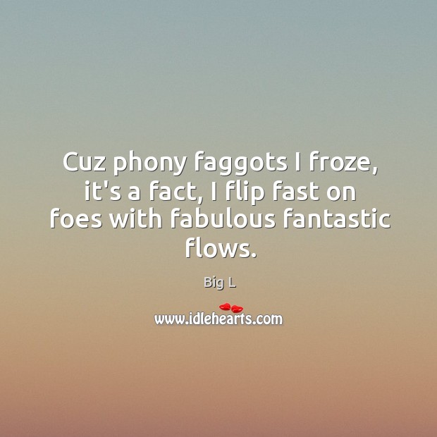 Cuz phony faggots I froze, it’s a fact, I flip fast on foes with fabulous fantastic flows. Big L Picture Quote