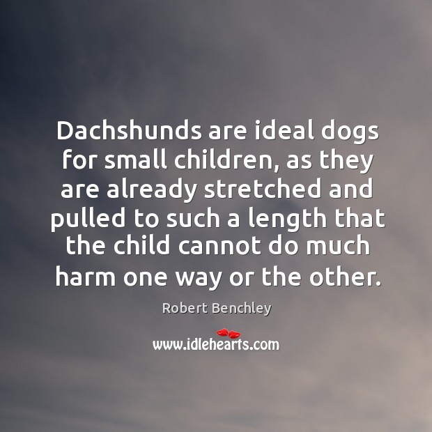 Dachshunds are ideal dogs for small children, as they are already stretched Robert Benchley Picture Quote