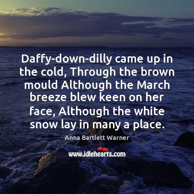 Daffy-down-dilly came up in the cold, Through the brown mould Although the Anna Bartlett Warner Picture Quote