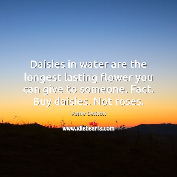 Daisies in water are the longest lasting flower you can give to Anne Sexton Picture Quote