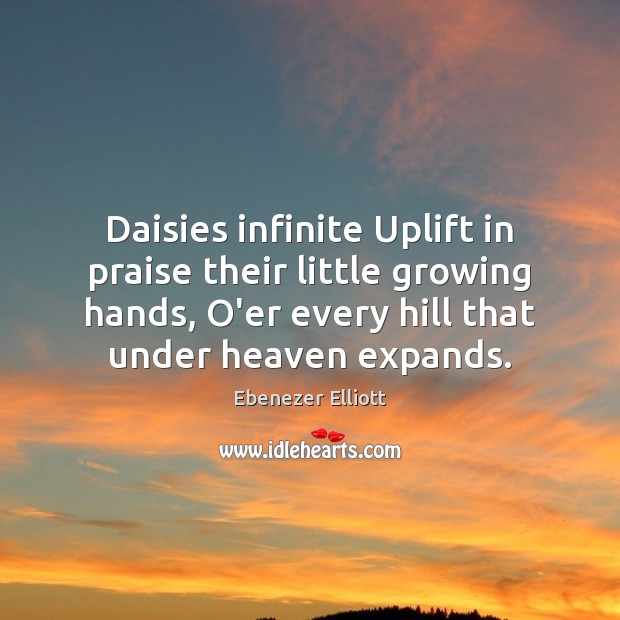 Daisies infinite Uplift in praise their little growing hands, O’er every hill Ebenezer Elliott Picture Quote