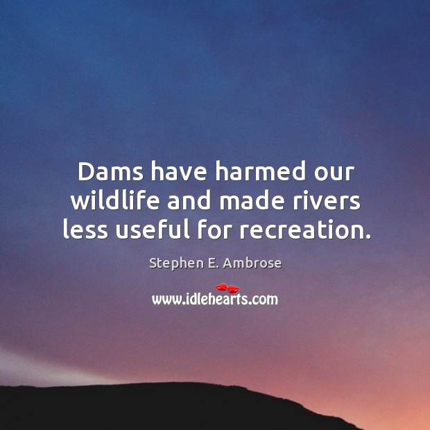 Dams have harmed our wildlife and made rivers less useful for recreation. Image
