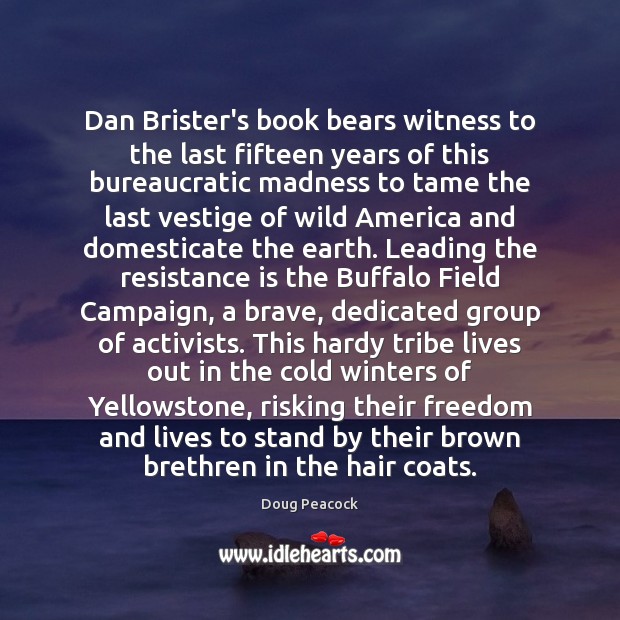 Dan Brister’s book bears witness to the last fifteen years of this Image