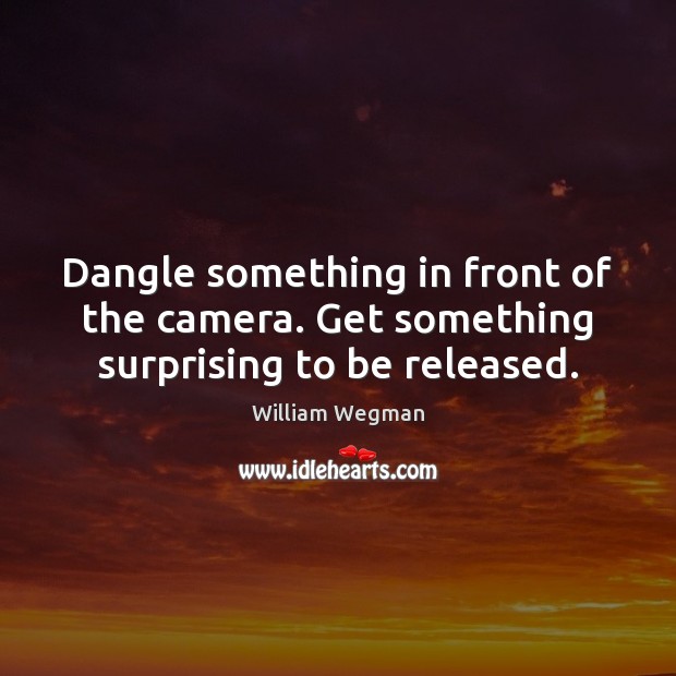 Dangle something in front of the camera. Get something surprising to be released. William Wegman Picture Quote