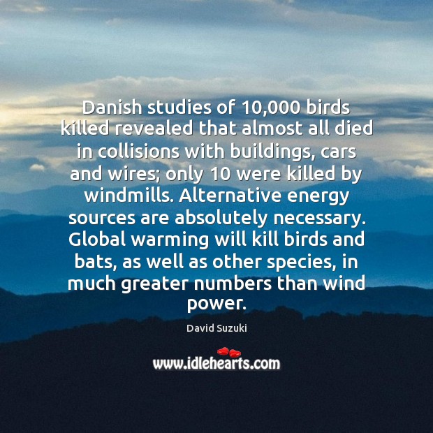 Danish studies of 10,000 birds killed revealed that almost all died in collisions David Suzuki Picture Quote