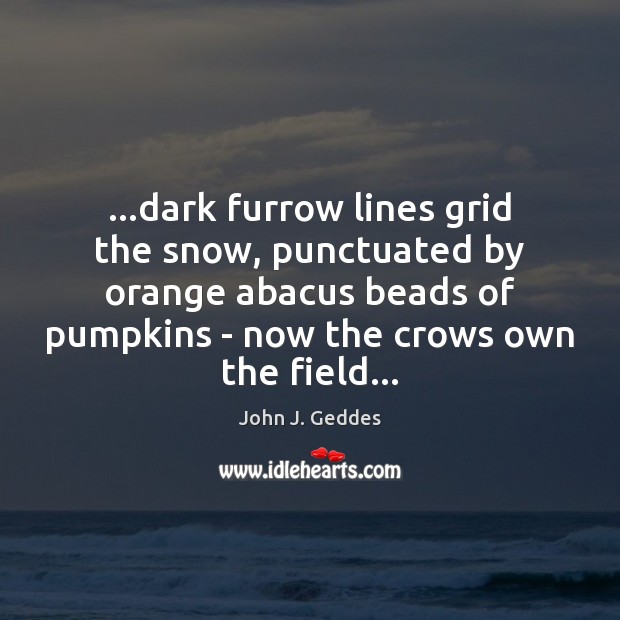 …dark furrow lines grid the snow, punctuated by orange abacus beads of 