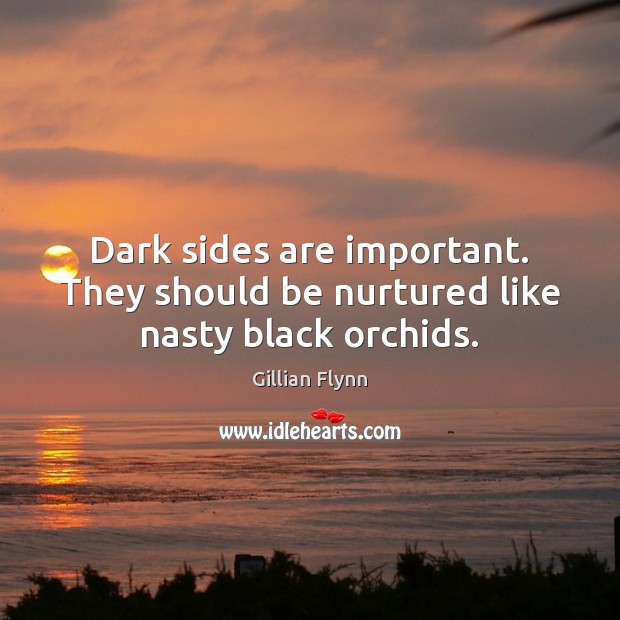 Dark sides are important. They should be nurtured like nasty black orchids. Gillian Flynn Picture Quote