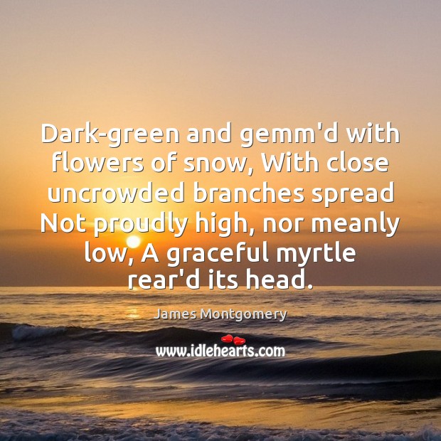 Dark-green and gemm’d with flowers of snow, With close uncrowded branches spread James Montgomery Picture Quote