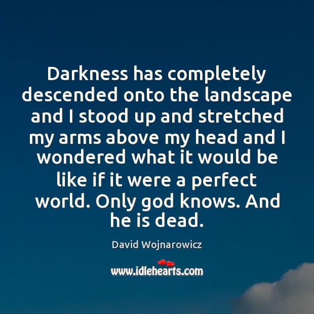 Darkness has completely descended onto the landscape and I stood up and David Wojnarowicz Picture Quote