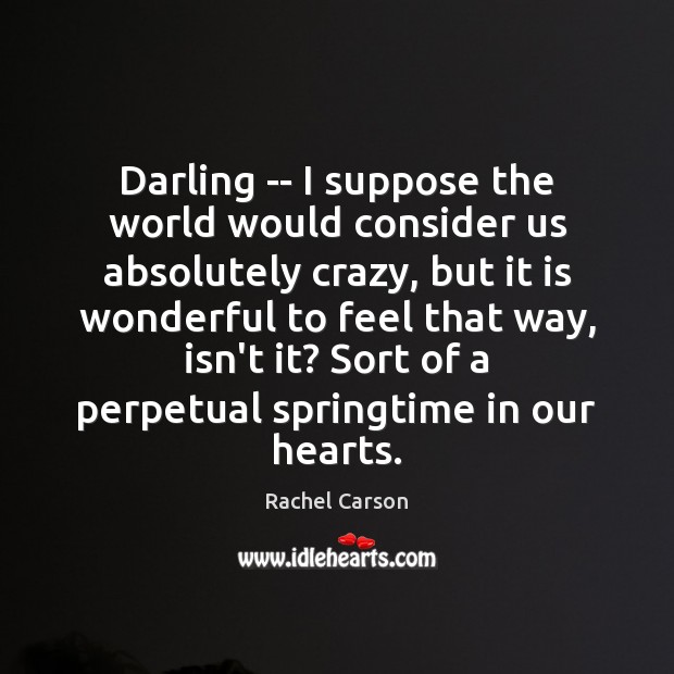 Darling — I suppose the world would consider us absolutely crazy, but Rachel Carson Picture Quote