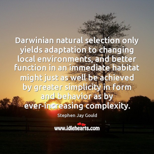 Darwinian natural selection only yields adaptation to changing local environments, and better Stephen Jay Gould Picture Quote