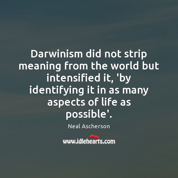 Darwinism did not strip meaning from the world but intensified it, ‘by Image