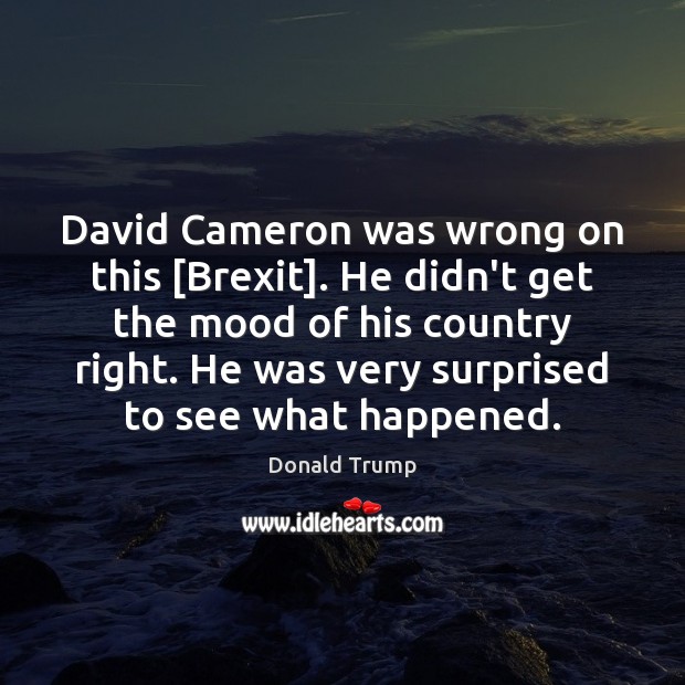 David Cameron was wrong on this [Brexit]. He didn’t get the mood Donald Trump Picture Quote