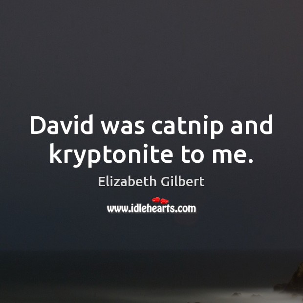 David was catnip and kryptonite to me. Elizabeth Gilbert Picture Quote