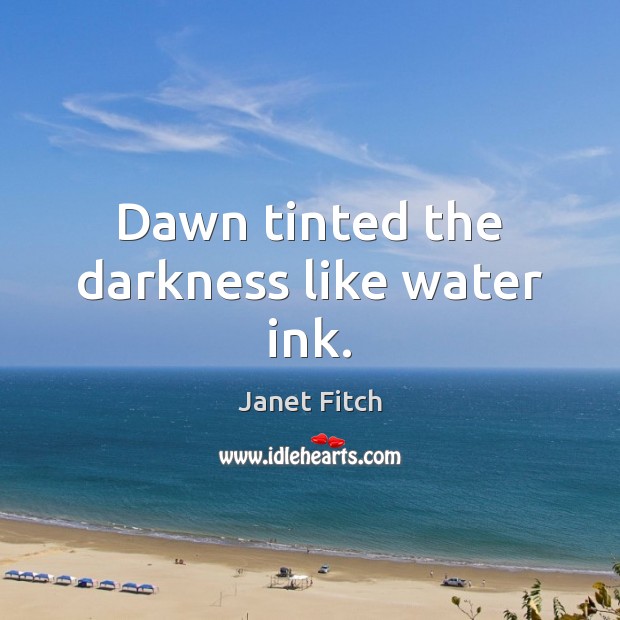 Dawn tinted the darkness like water ink. Janet Fitch Picture Quote